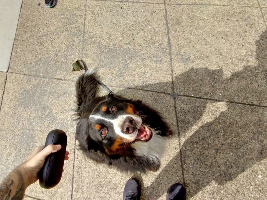 Las gafas inteligentes hicieron que Google pareciera tonto.  Ahora Facebook les está dando una oportunidad