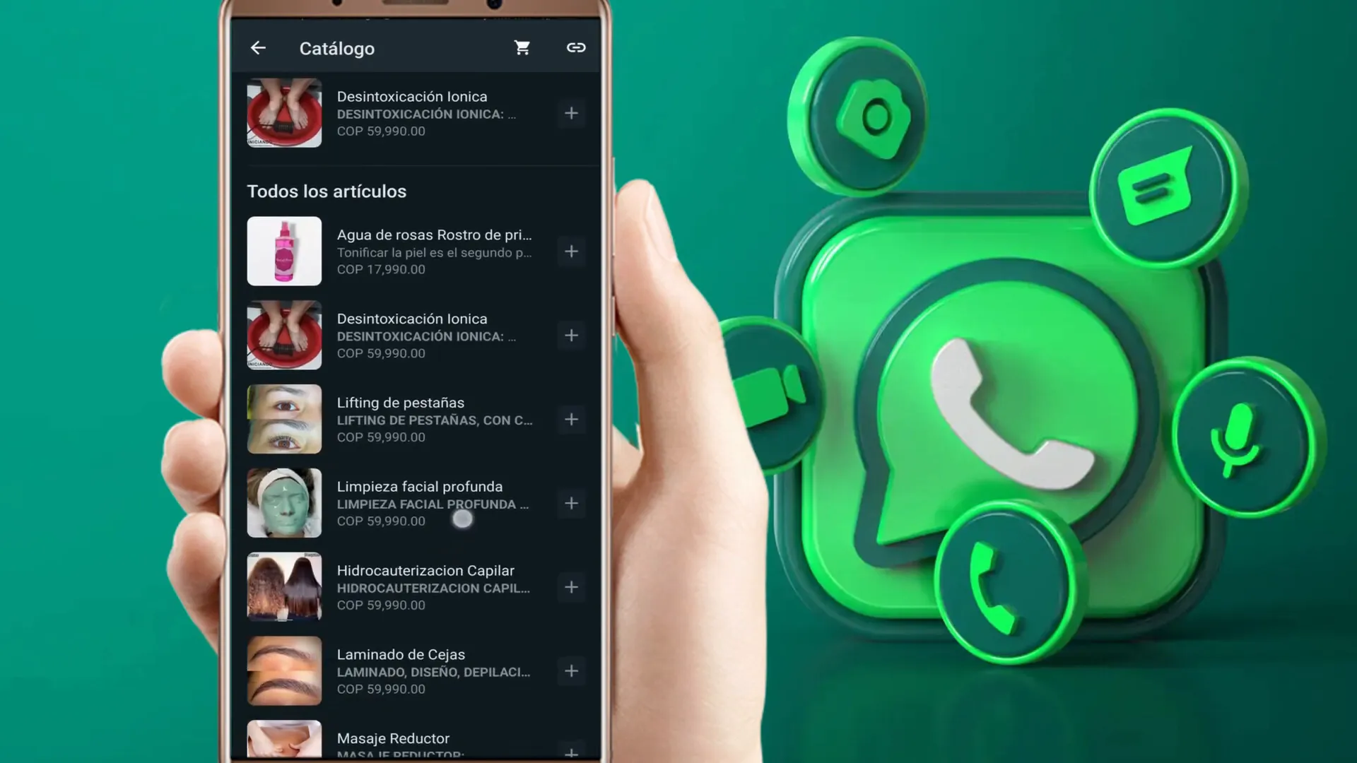Revisando el perfil y catálogo